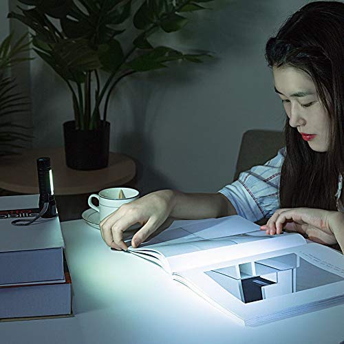 2-in-1 Mini Torch Light