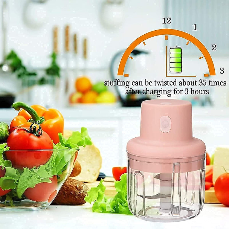 Electric Mini Garlic Chopper with USB charging
