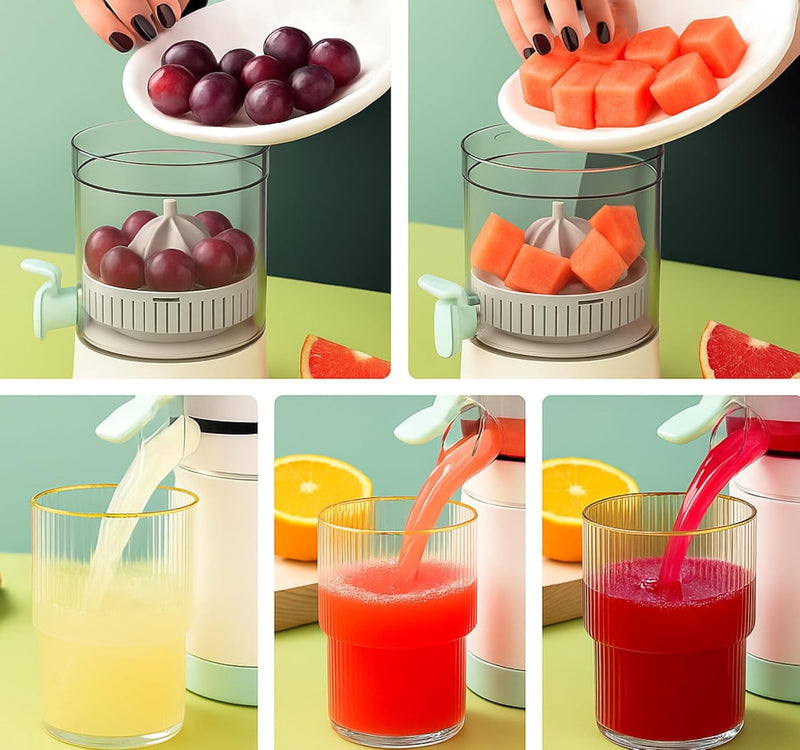 Electric Citrus Juicer